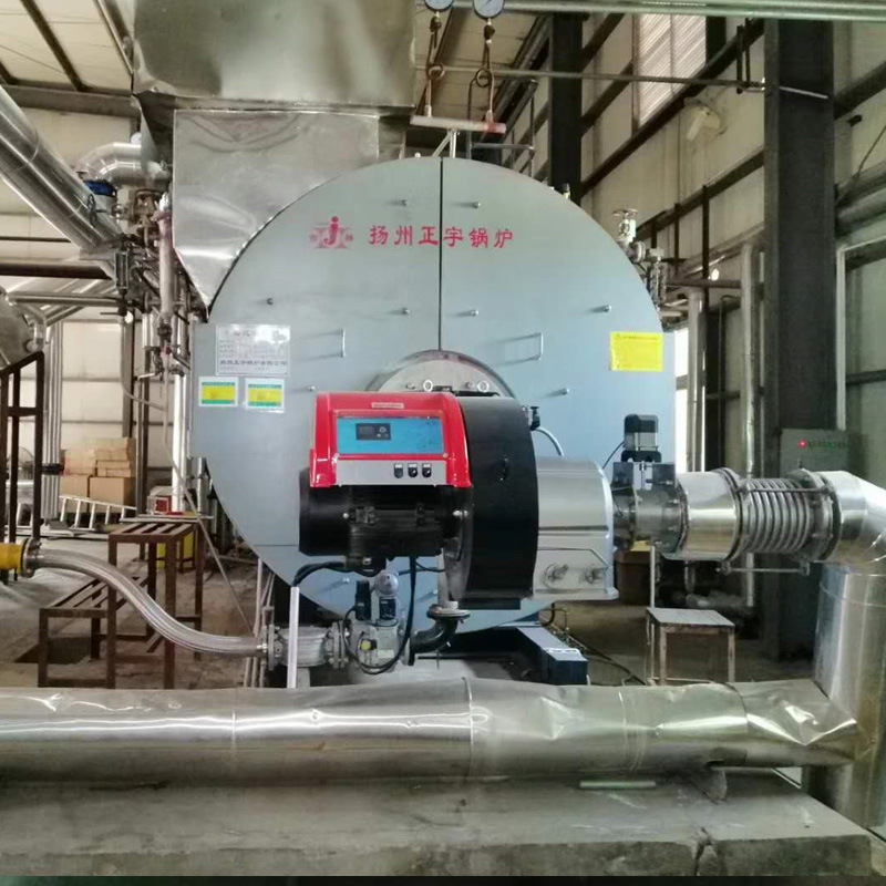 深圳成霖洁具2吨30mg低氮现场